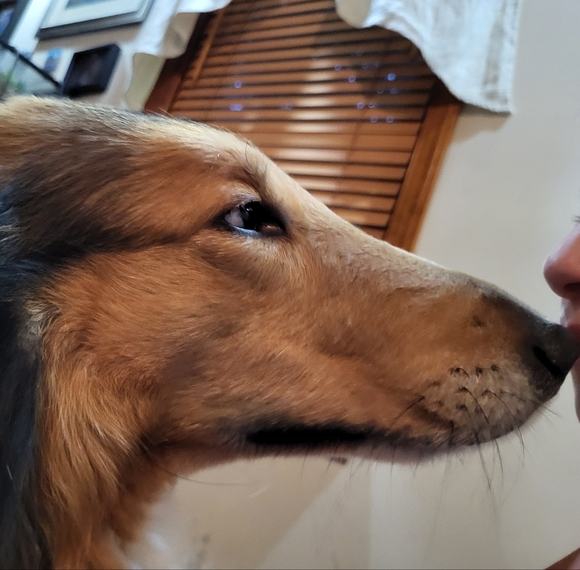 PLSreadBEFOREbuying! - Picture 6 of 16